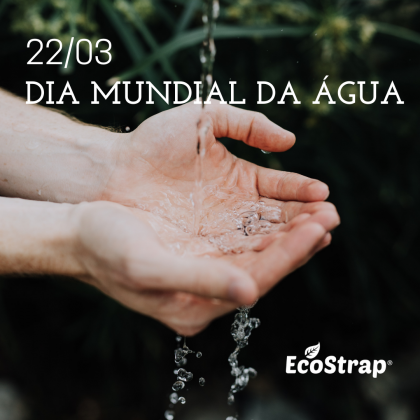 Dia Mundial da Água (22/03) – a história por trás da data